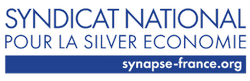 silver eco icon